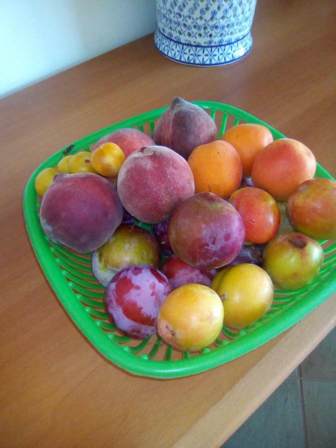 Casa Te La Bradamante Panzió Magliano Kültér fotó