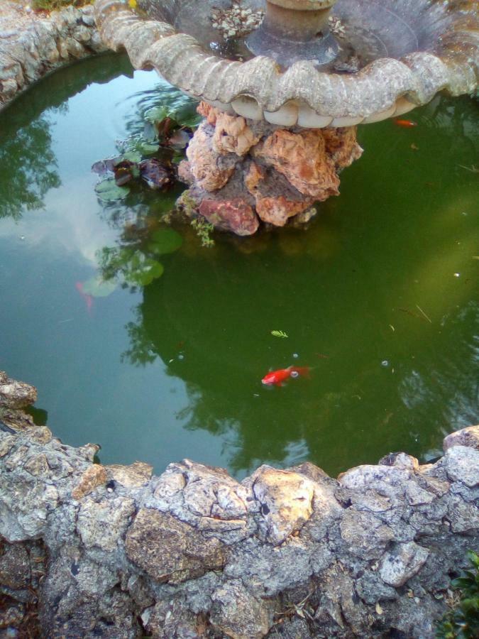 Casa Te La Bradamante Panzió Magliano Kültér fotó