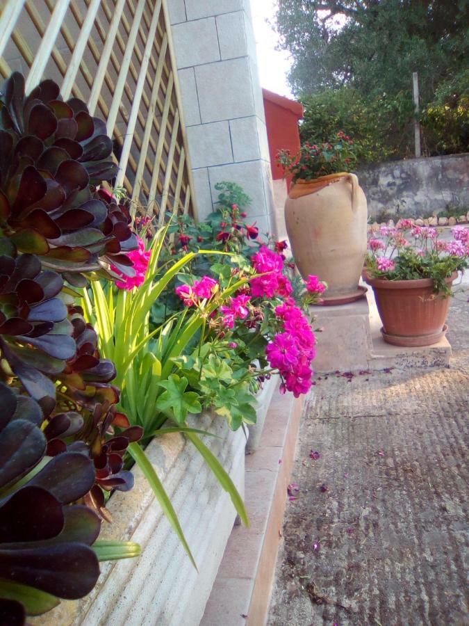 Casa Te La Bradamante Panzió Magliano Kültér fotó