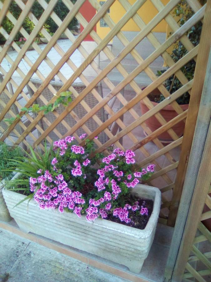 Casa Te La Bradamante Panzió Magliano Kültér fotó