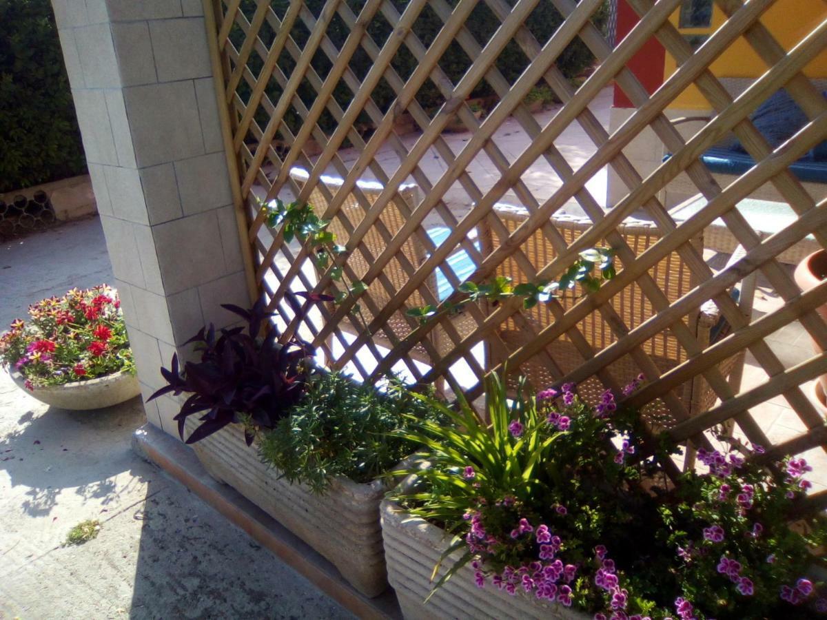 Casa Te La Bradamante Panzió Magliano Kültér fotó