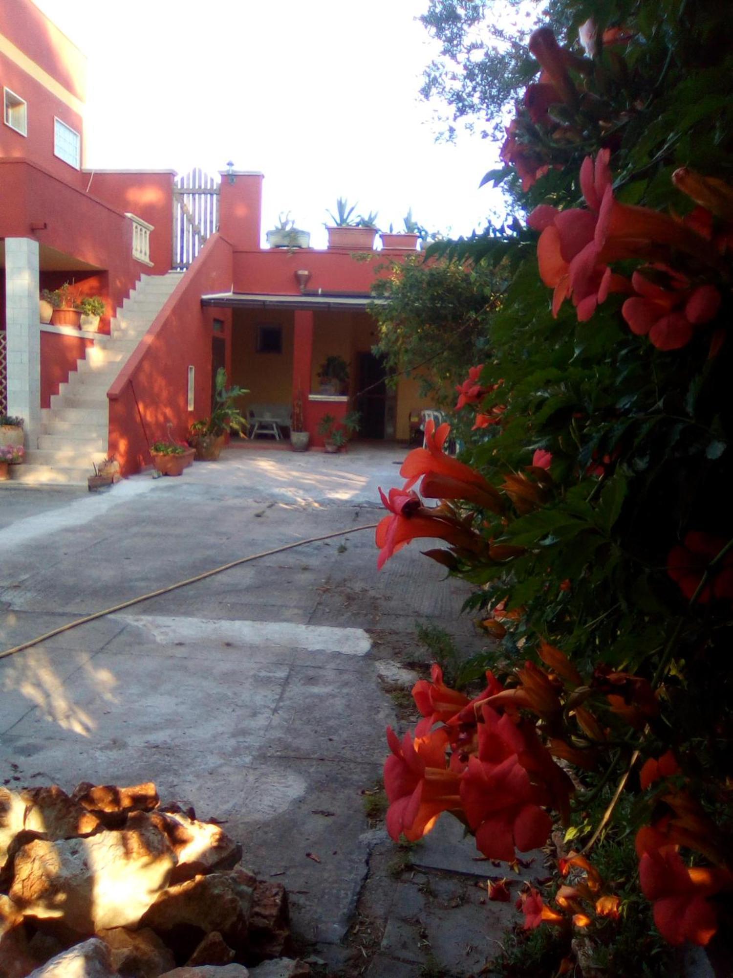 Casa Te La Bradamante Panzió Magliano Kültér fotó
